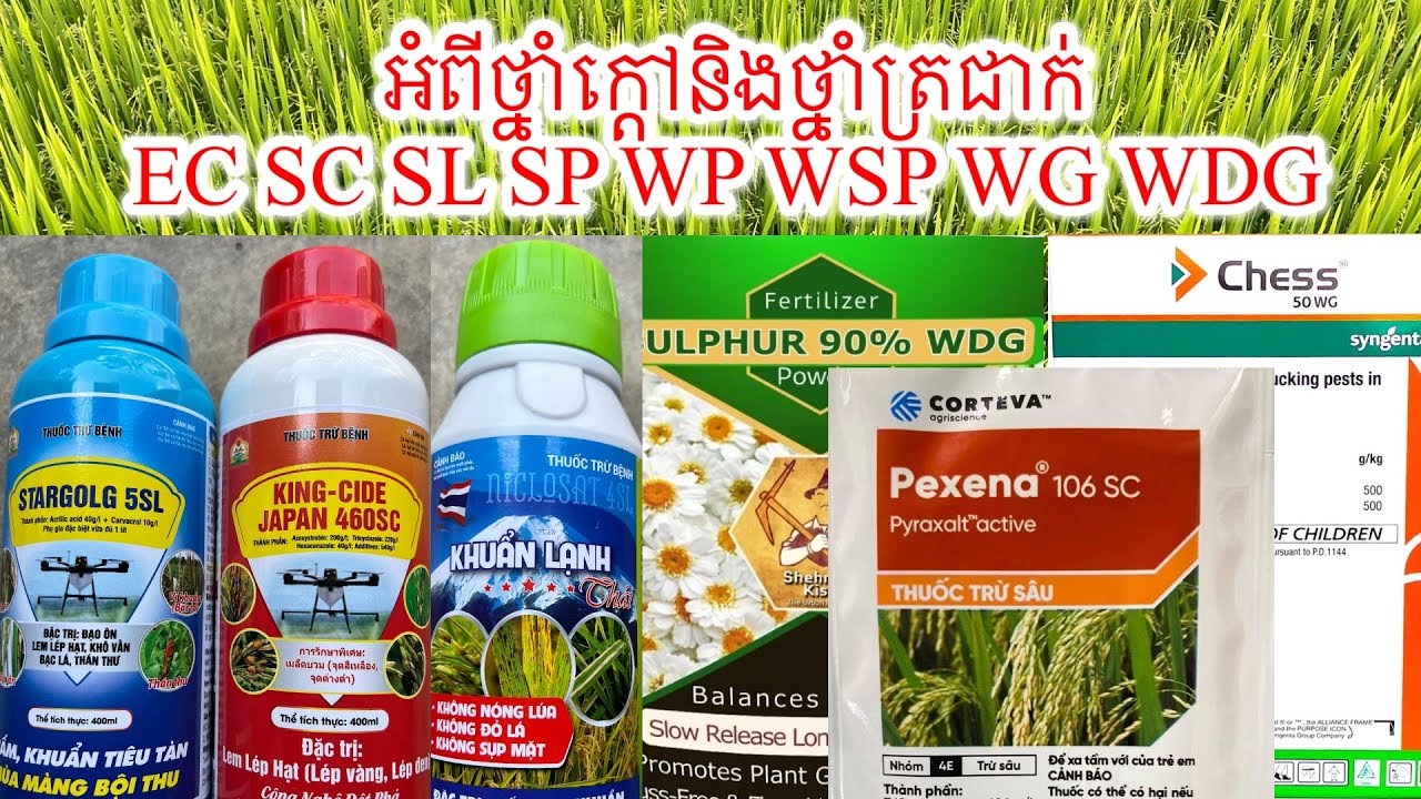 អំពីថ្នាំក្តៅនិងថ្នាំត្រជាក់ EC SC SL SP WP WSP WG WDG