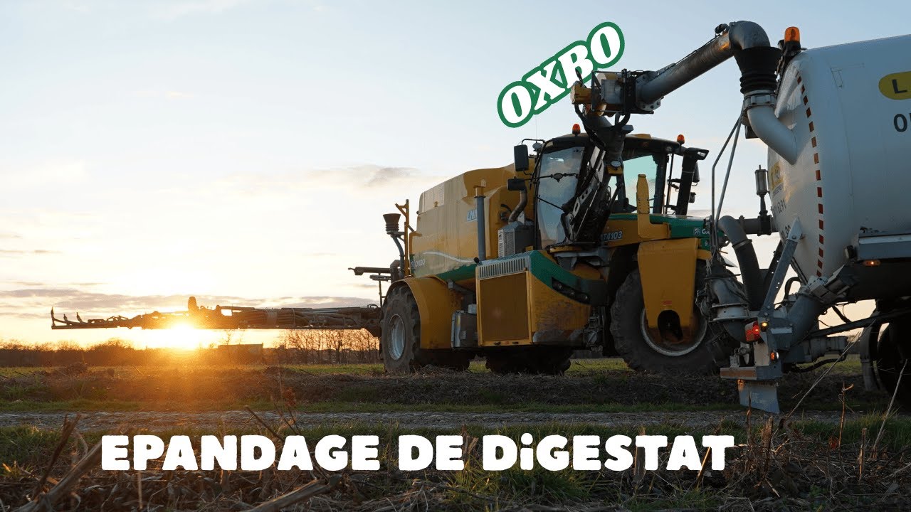🌱Epandage de digestat sur céréales 🟡Automoteur oxbo AT4103🟢 6 citernes au  transport💨