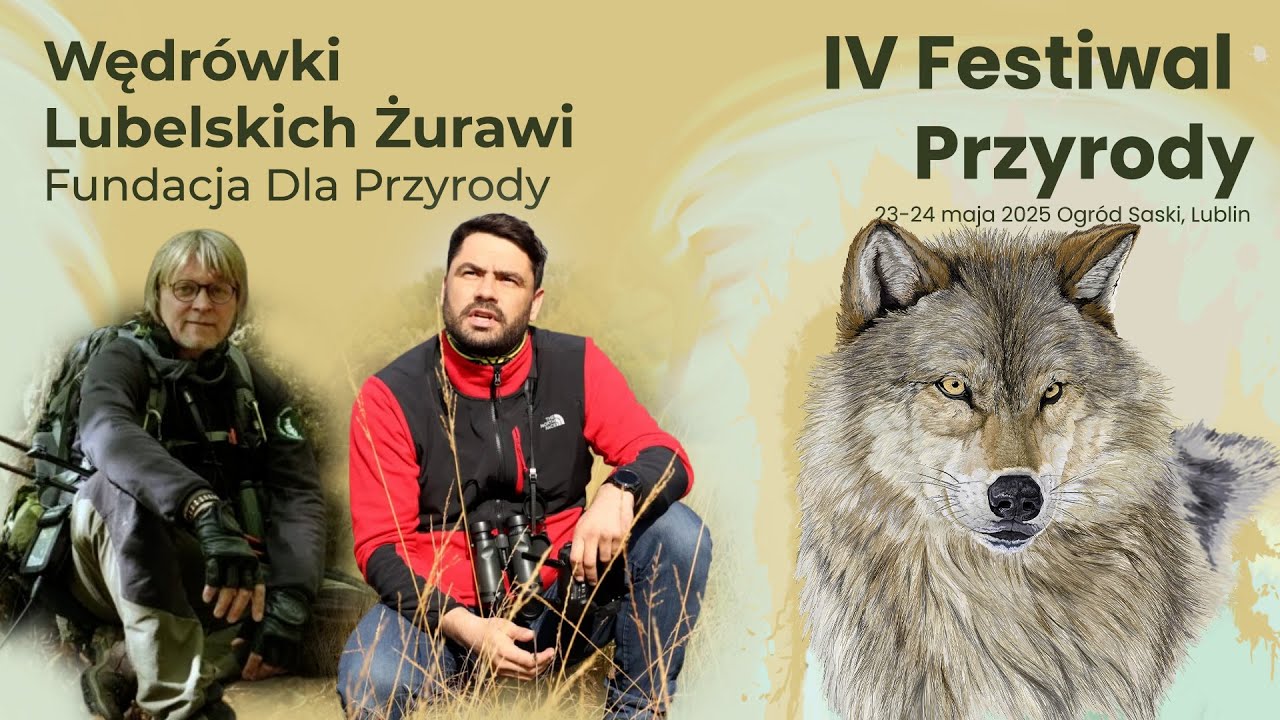 IV Festiwal Przyrody - Wędrówki Lubelskich Żurawi - Fundacja Dla Przyrody, część 2 Romuald Mikusek