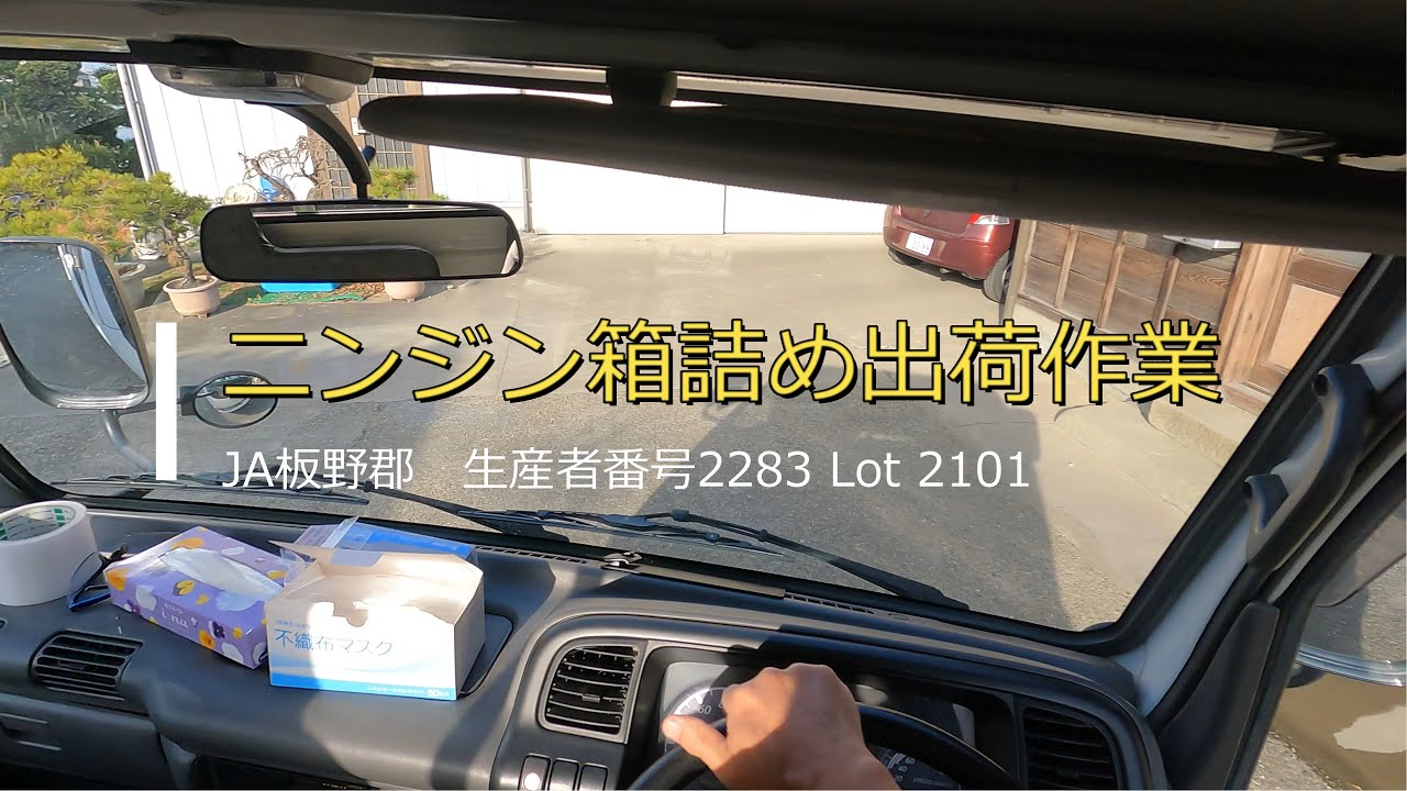 【にんじん】箱詰め出荷作業⑩【Lot2101】