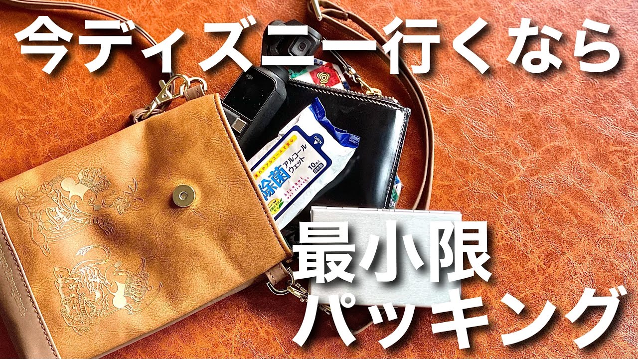 【コロナ対策】ディズニーに行くなら荷物は少なく！今だからできる最小限パッキング！