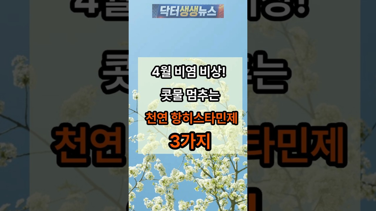 4월 비염&middot;콧물 멈추는 '천연 항히스타민제' 3가지! 약 먹지 말고 '이것' 드세요 🤧✨#비염 #꽃가루알레르기 #건강정보 #건강식단 #건강관리