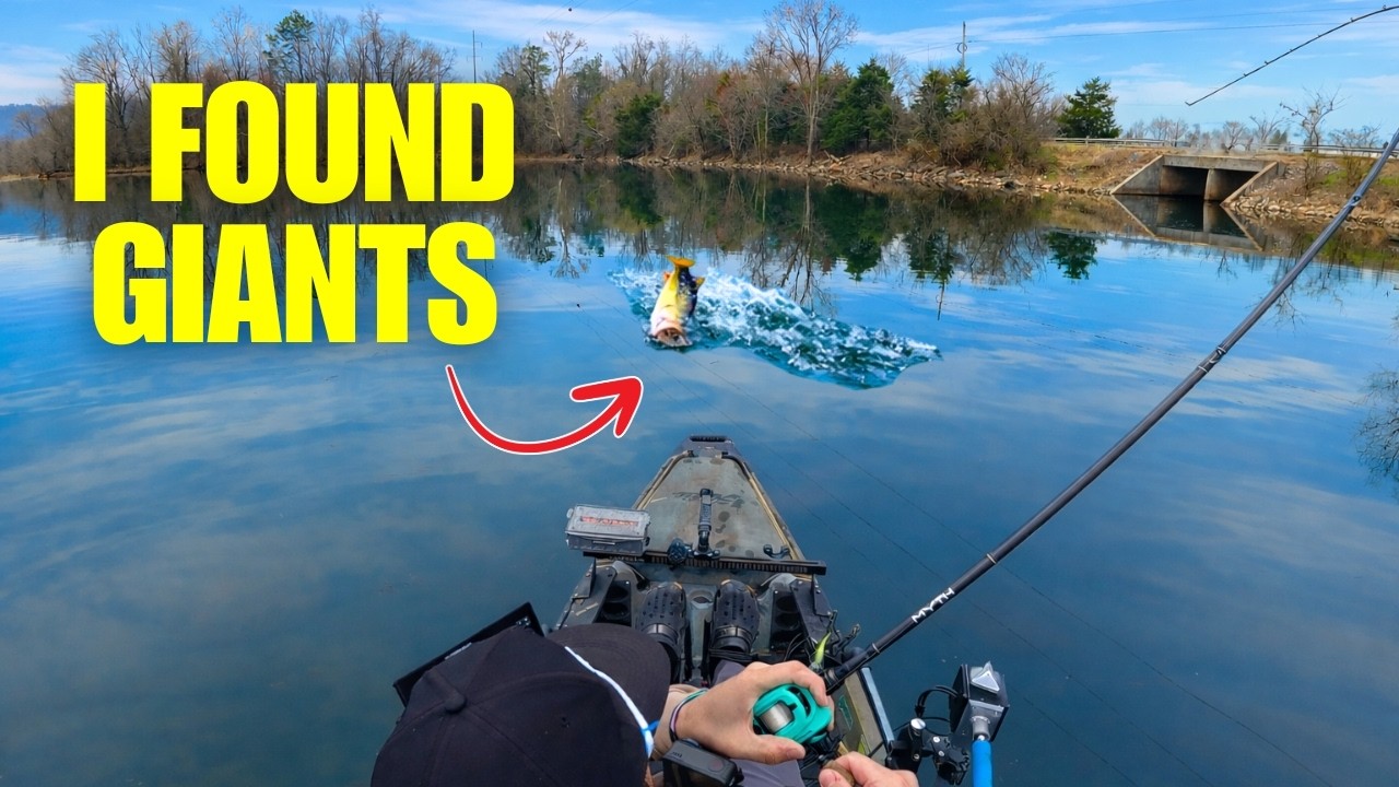 I Fished the GREATEST Bass Lake in the Country!