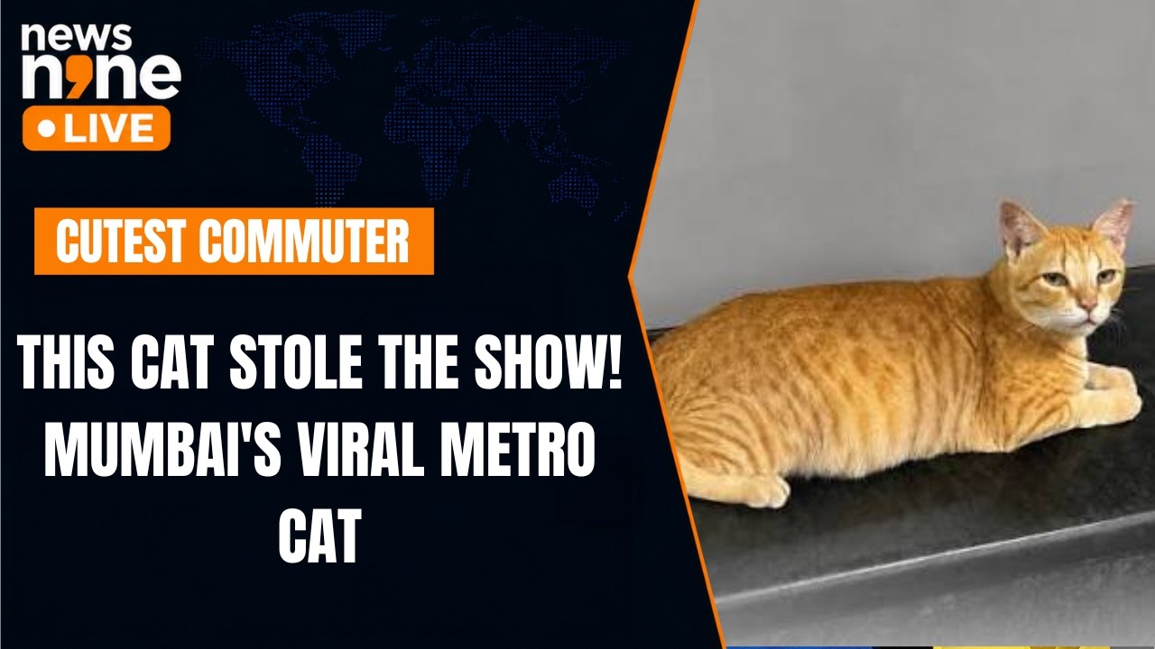 Mumbai Metro&rsquo;s &ldquo;Chief Feline Officer&rdquo; Steals the Show at Gundavali Station | News9