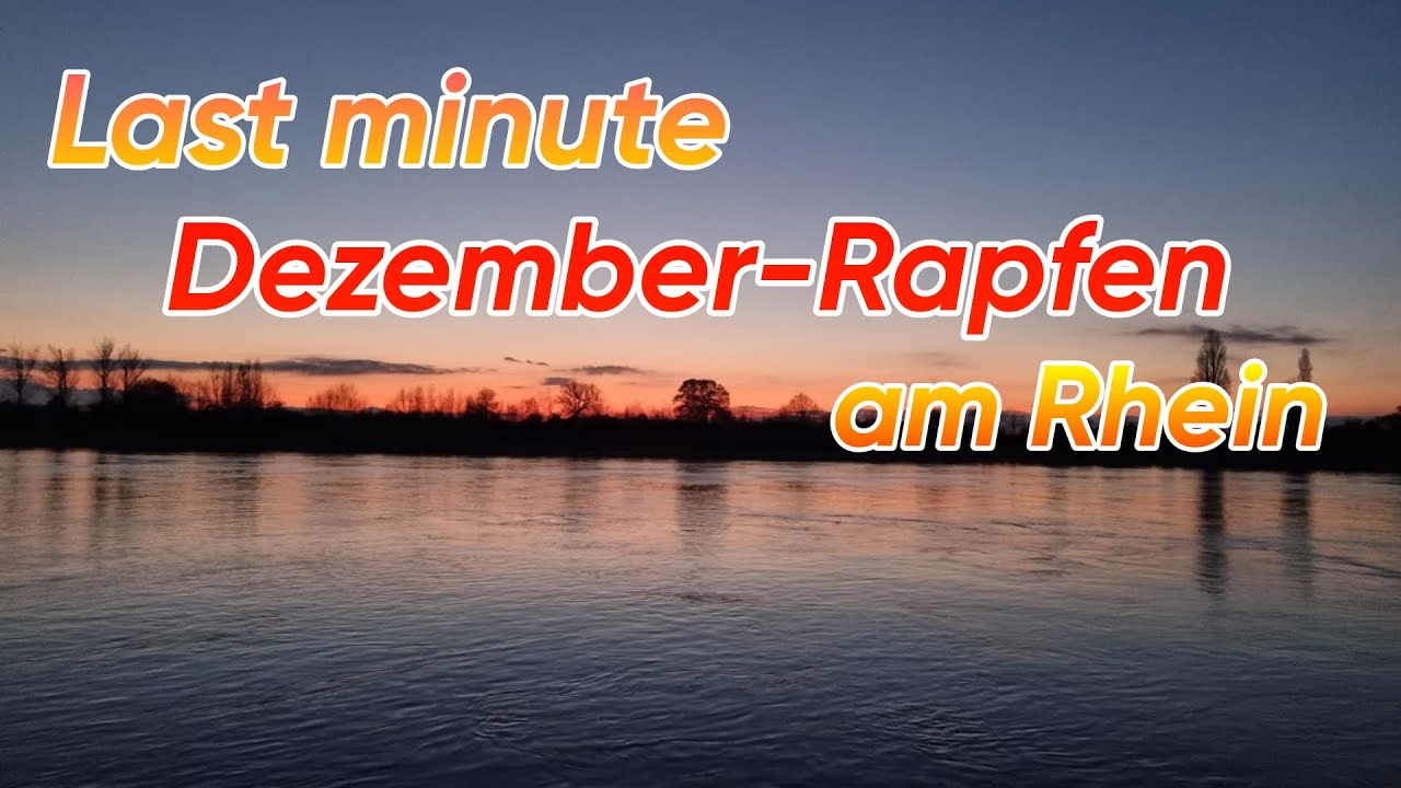 Last Minute Rapfen