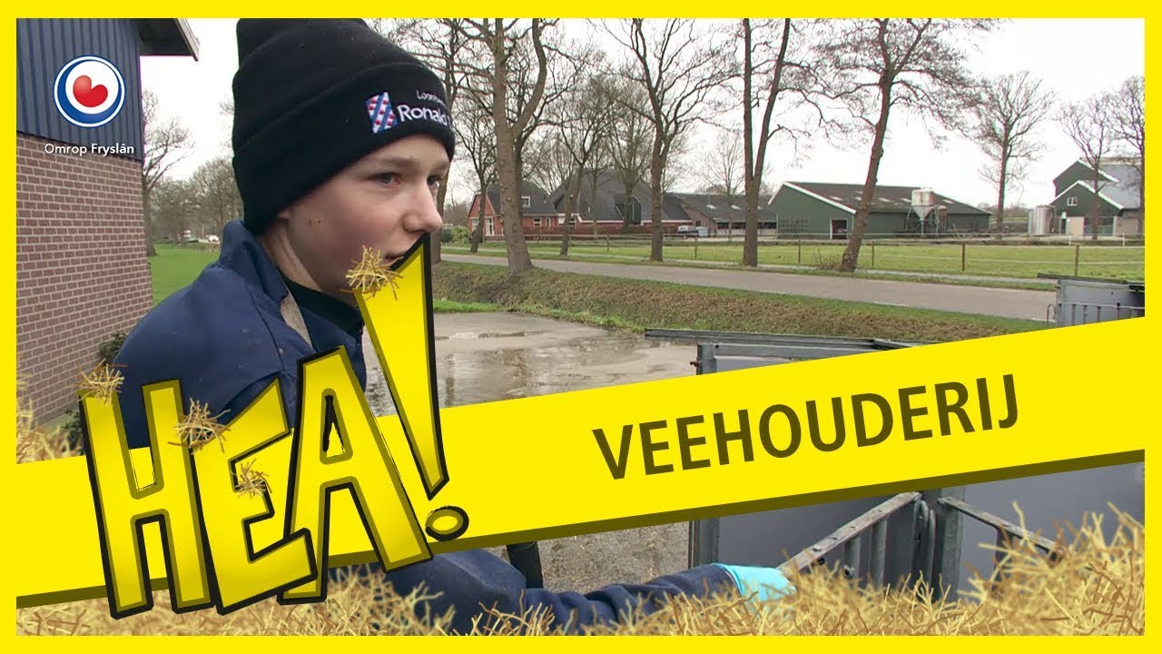 HEA! Veehouderij opvolger