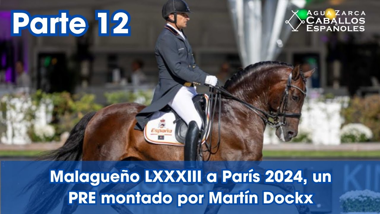 Malagueño LXXXIII a París 2024, un PRE montado por Martín Dockx P12