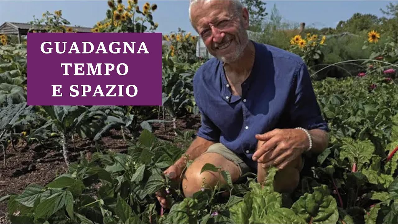 Consociazione di ortaggi: combina verdure per risparmiare spazio