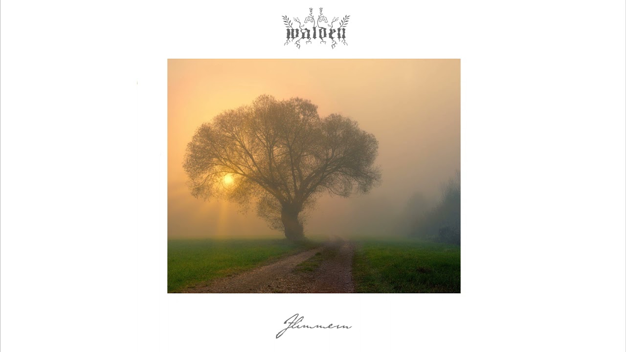 walden - Flimmern (2021) (Full Album)