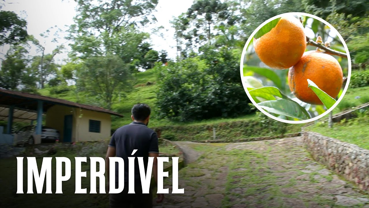 SUPER IMÓVEL RURAL BEM COMPLETO E COM CASA EM MARMELÓLIS, SERRA DA MANTIQUEIRA, MG POR 480 MIL