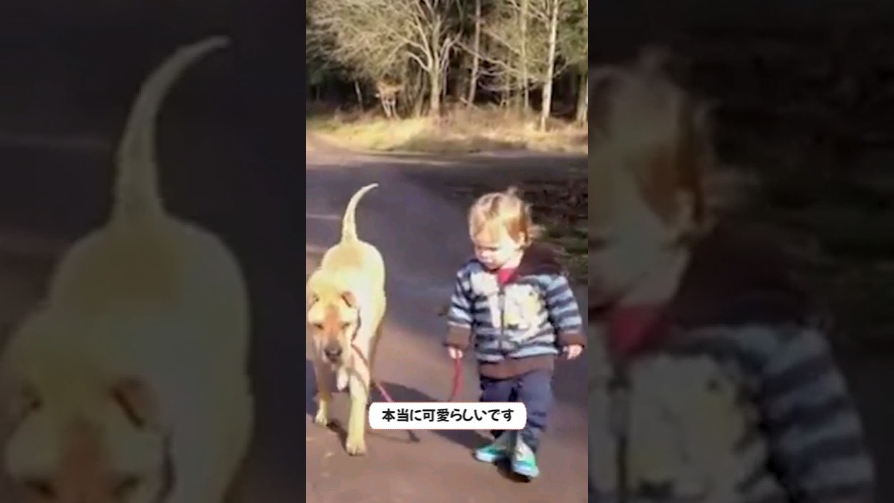 飼い主を待つ犬!可愛子供と犬の散歩 #犬 、＃散歩、#shorts