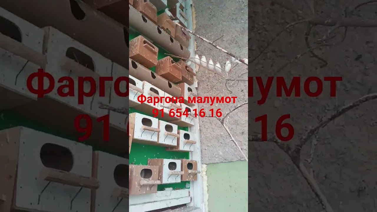 15 февраля 2026 г.