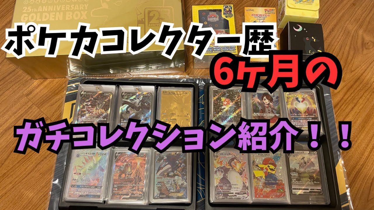 【ポケカ】総額○○万越え‼︎ポケカ初心者が6ヵ月で集めたガチコレクションを紹介‼️