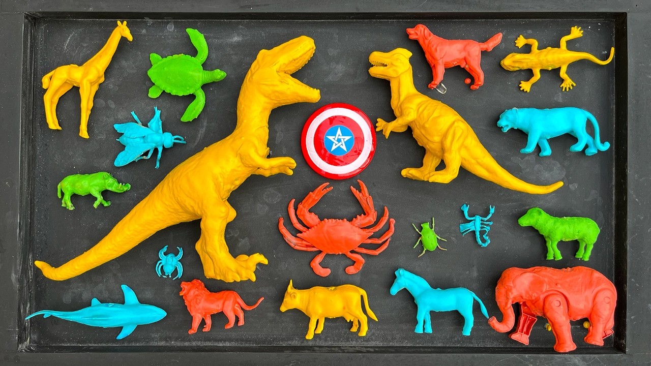 Membersihkan mainan hewan, sapi, bebek, angsa, ayam, gajah, singa, unta, buaya, zebra, kangguru.