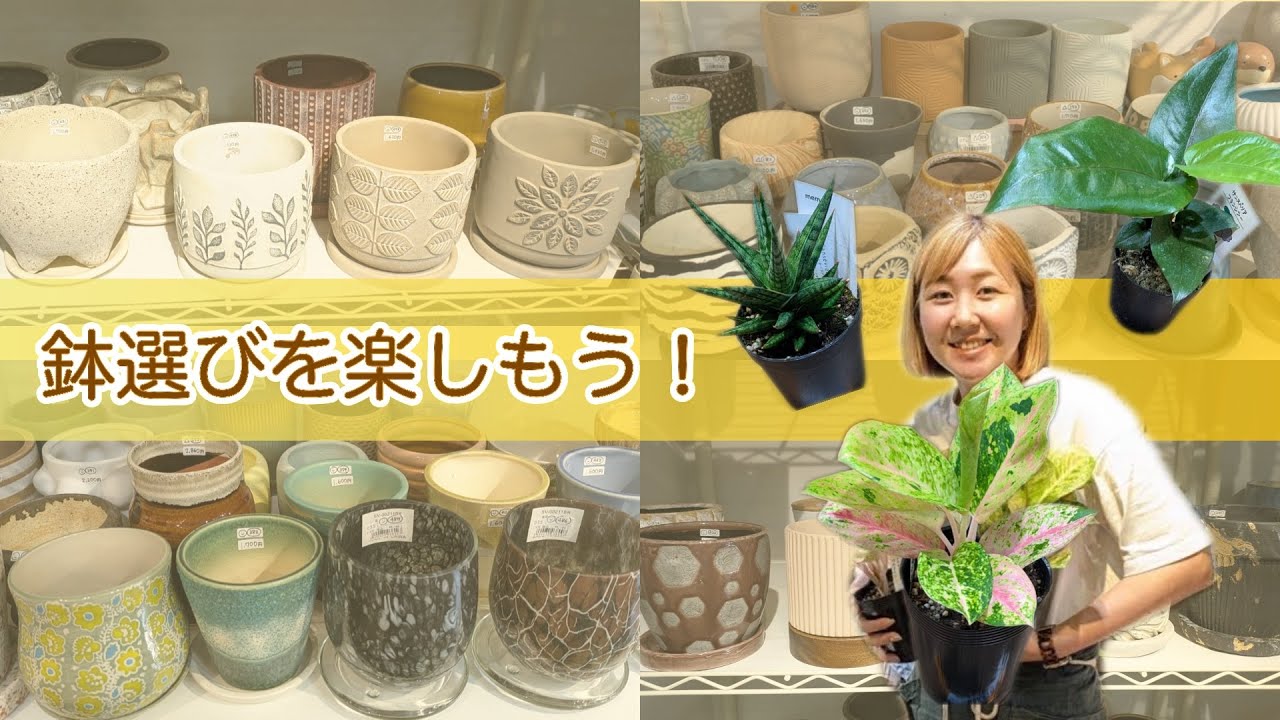 【のこちゃんテレビ】鉢選びを楽しもう！