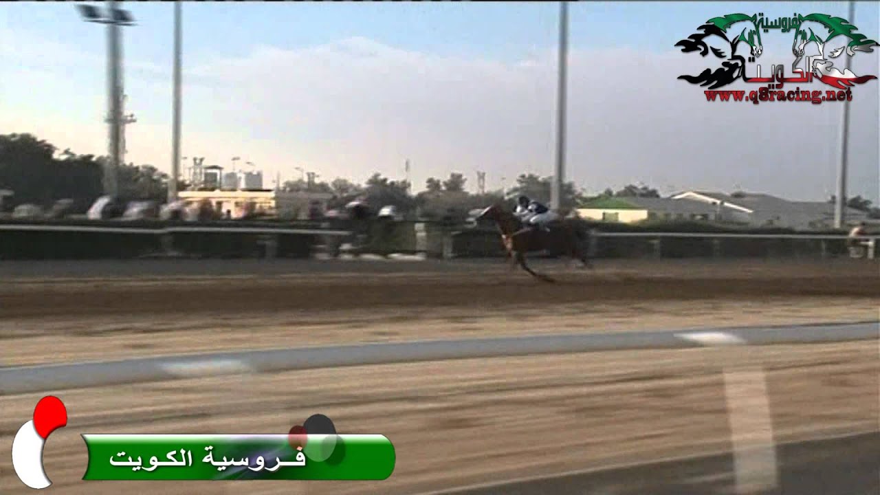 الجواد مذكور : لاسطبل الخالد و السالم