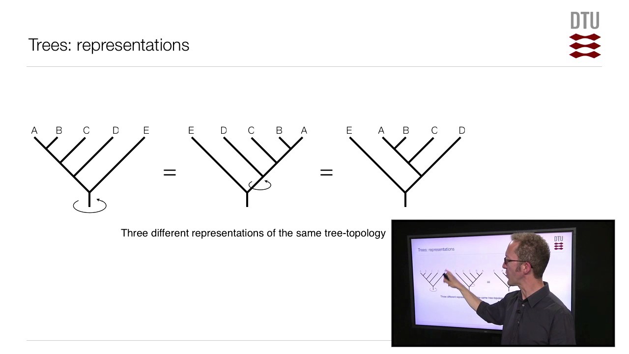 Trees: Terminology and Representation
