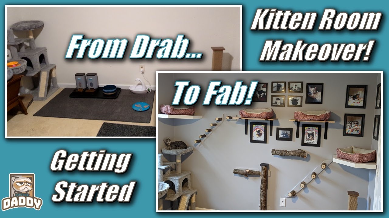 Foster Room Makeover (Part 1) | Turning My Foster Room Into a Kitten Playground!