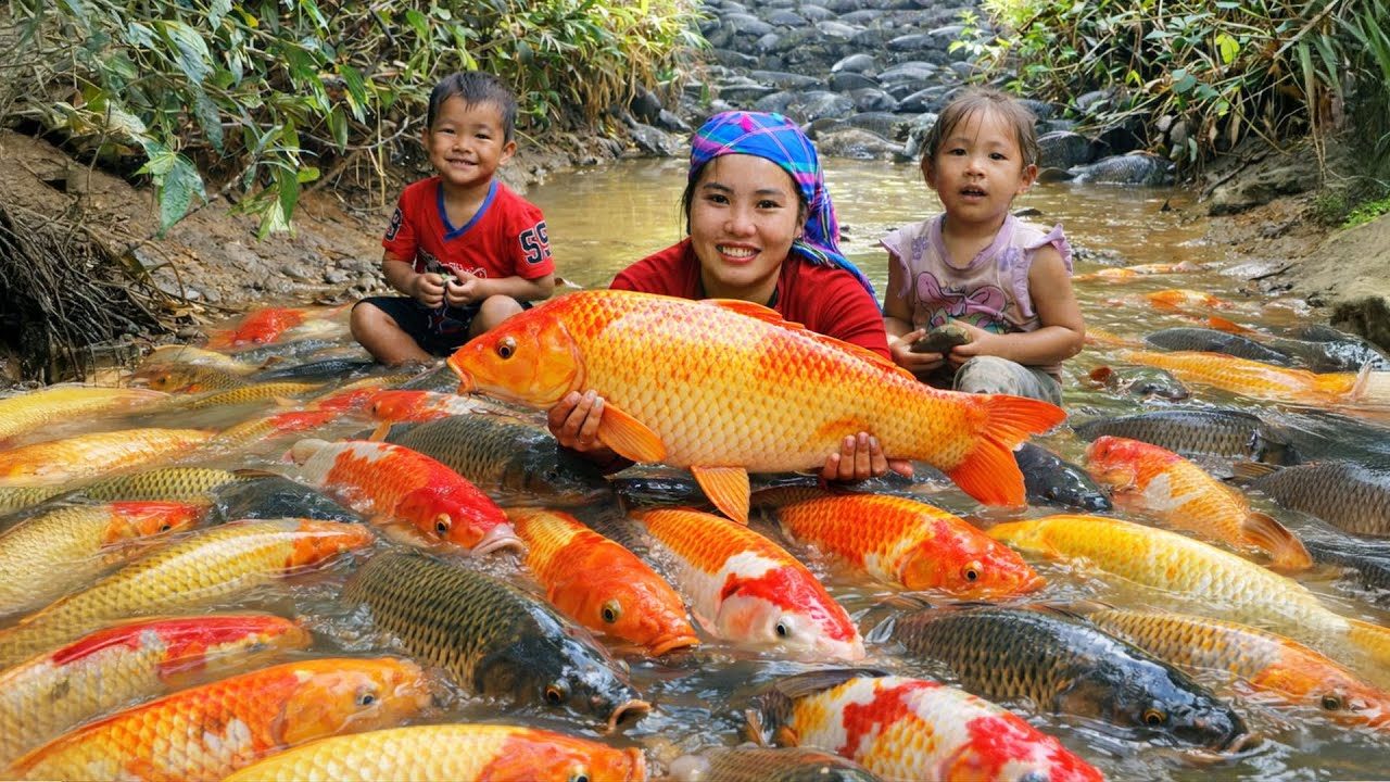 FULL VIDEO Traditional Fishing Skills – A Single Mother Tries Every Way To Catch A Giant Fish