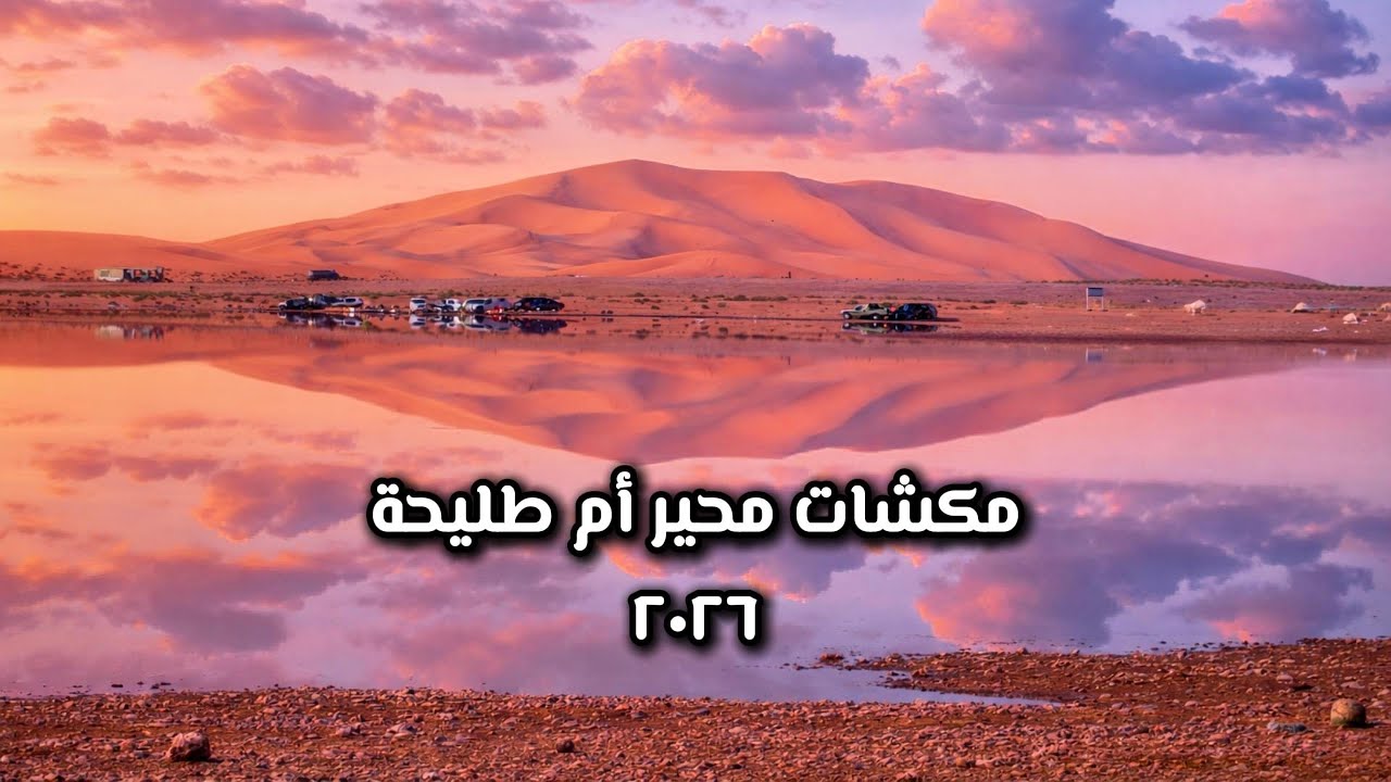 مكشات محير أم طليحه