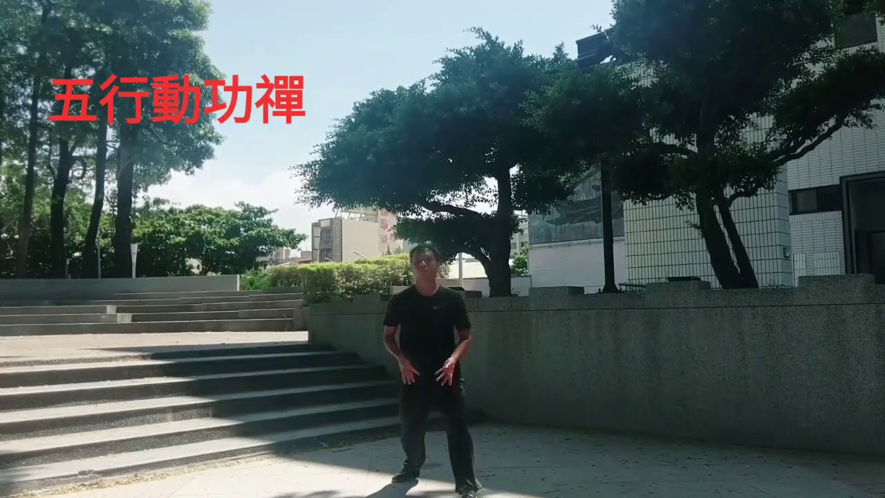 梅花門養生氣功 五行動功禪