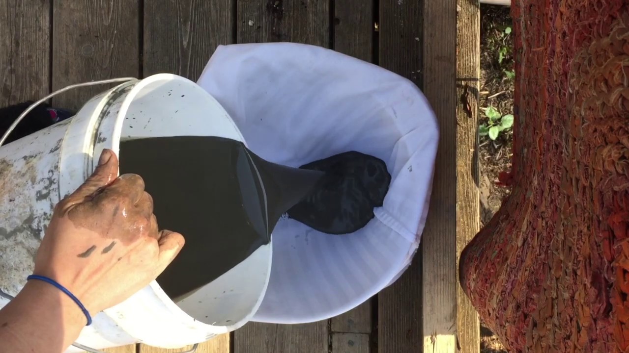 Harvesting and Processing BEACH CLAY!