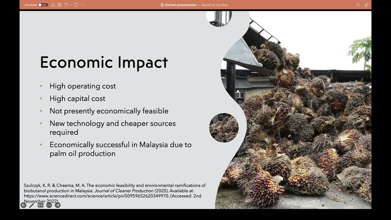 Butanol Biofuel Video