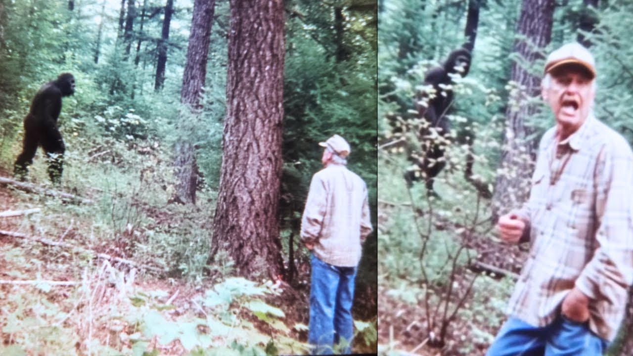 He Found a Bigfoot in the Forest. Then the Government Showed Up. What Happened Next -Sasquatch Story