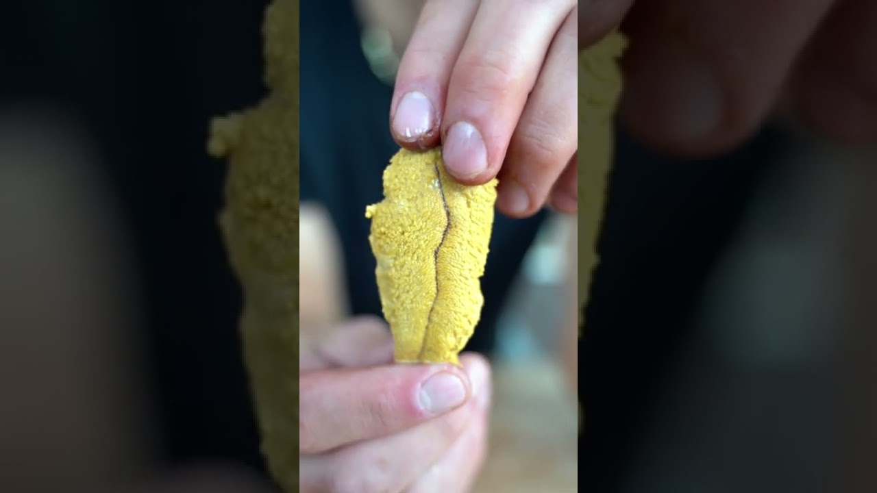 Eating Live Sea Urchin