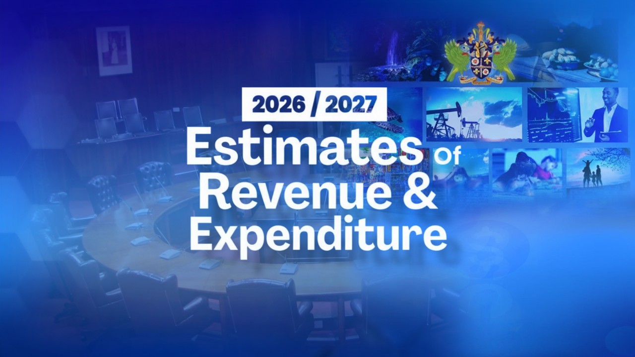 House of Assembly Debates Estimates of Revenue and Expenditure part 2  (March 25, 2026)