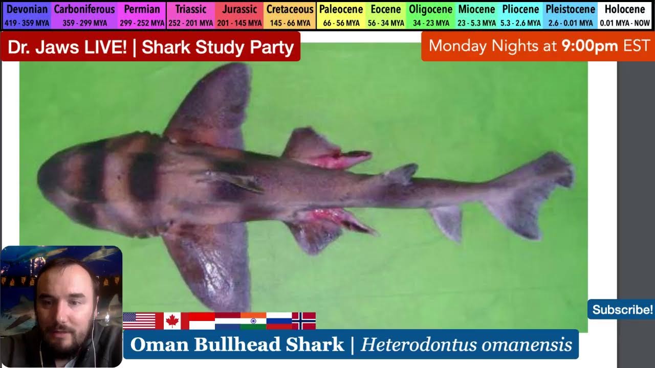 Dr. Jaws LIVE! #150 Oman Bullhead Shark Study Party