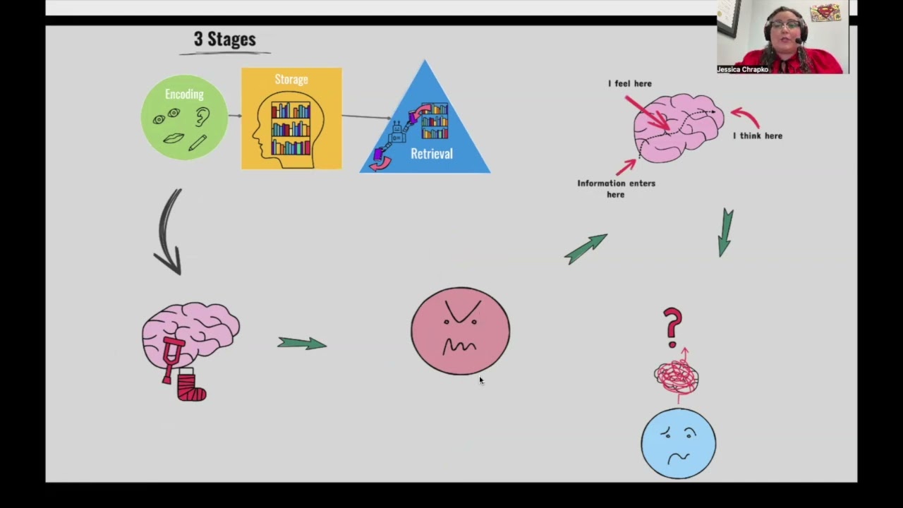 Cognitive Communication Disorders: A Simplified Overview (1280x720 res)