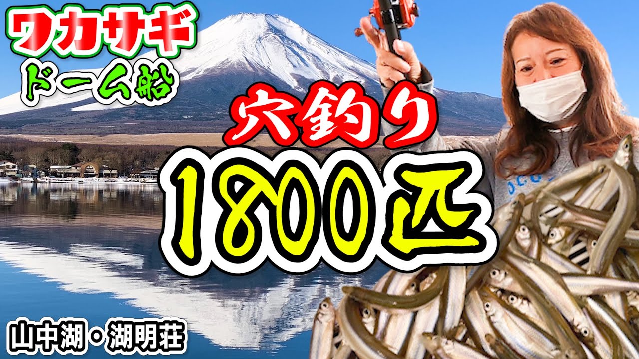 穴釣りドーム船でワカサギ1800匹?!【山中湖・湖明荘マリーナ】