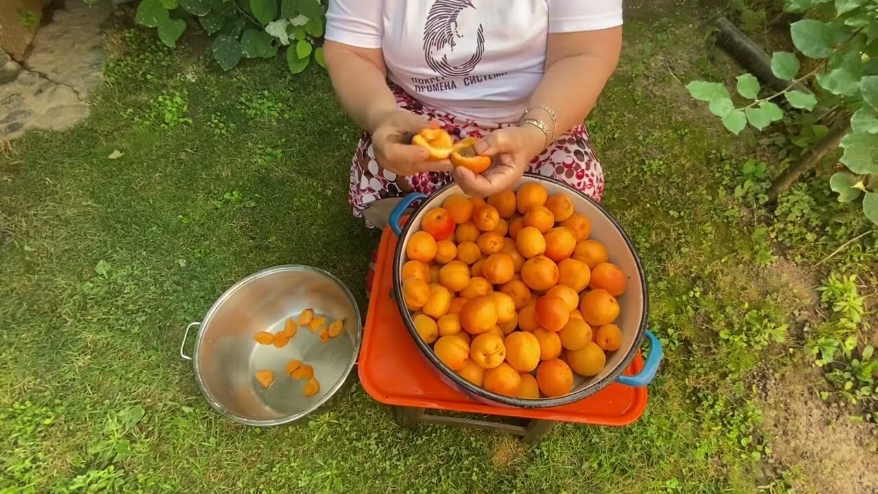 RECEPTI- DžEM OD KAJSIJA NAJBOLJI - juli 2023