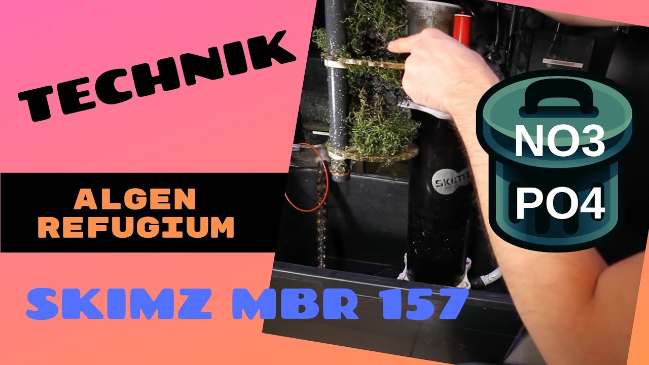Algenrefugium im Meerwasseraquarium | Algenreaktor (am Beispiel des Skimz MBR 157)