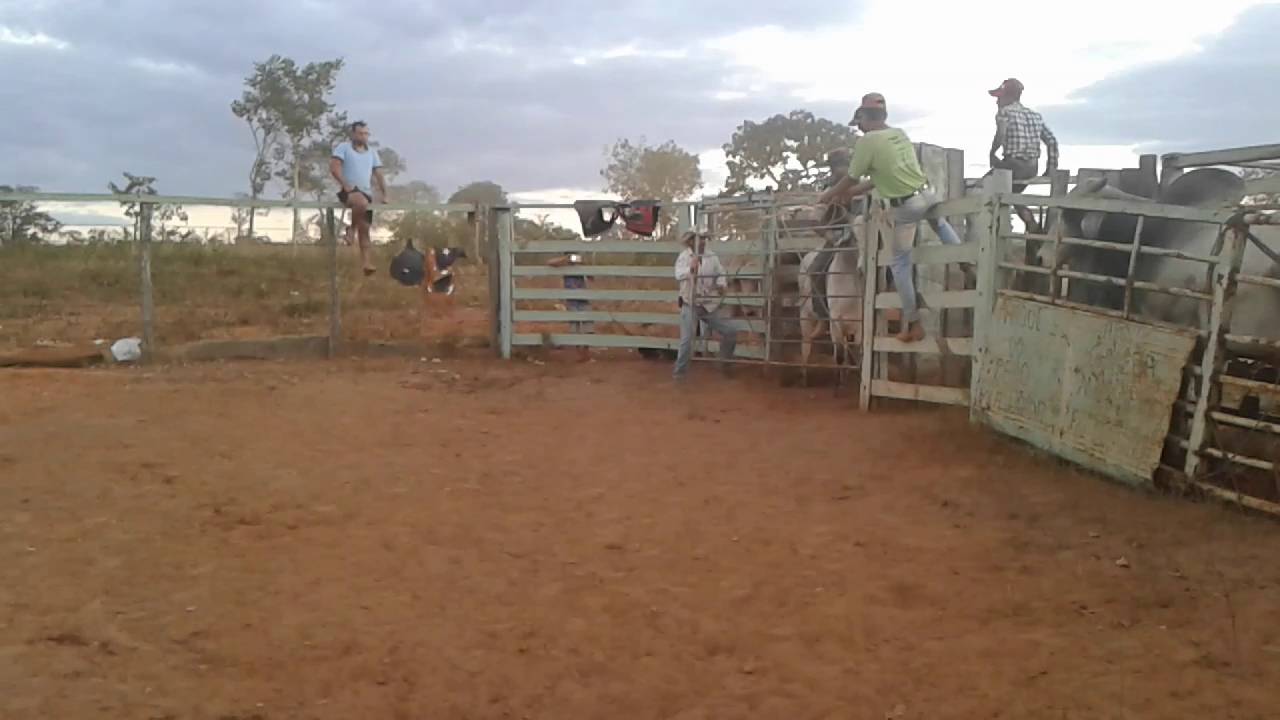 Touro Railux