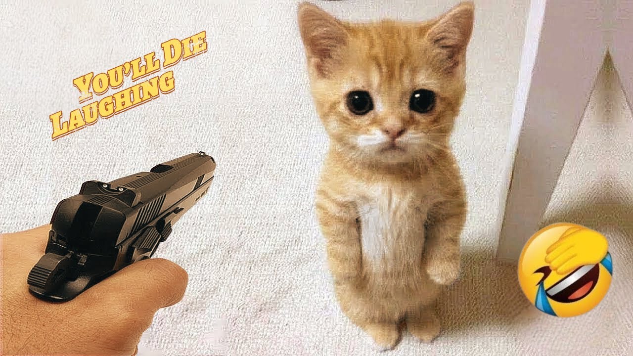 WARNING ⚠️ Non-Stop Laughs 😂 | Ultimate Animal Fails