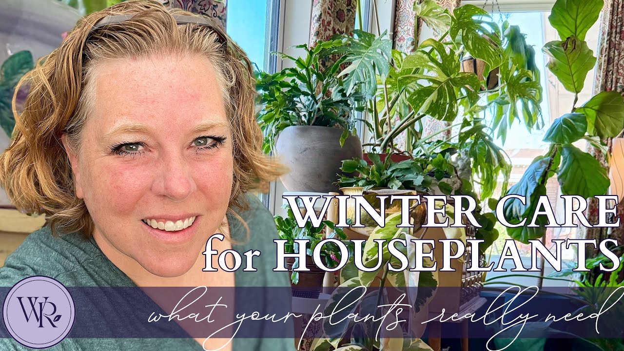Keeping Houseplants Alive in Winter 🌿 Easy, Science-Based Tips