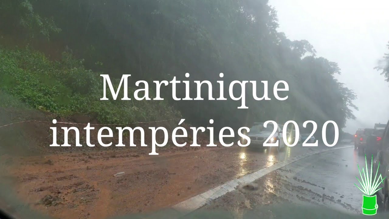 Le vétiver contre les glissements de terrain