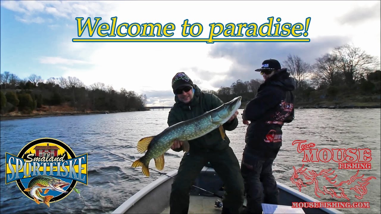 Nu kör vi Eriksberg! En dag i paradiset med Team Mousefishing och Småland Sportfiske.