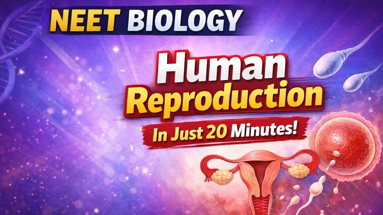 Human Reproduction in 20 minutes🔥 || One Shot - 2 || NEET 2026