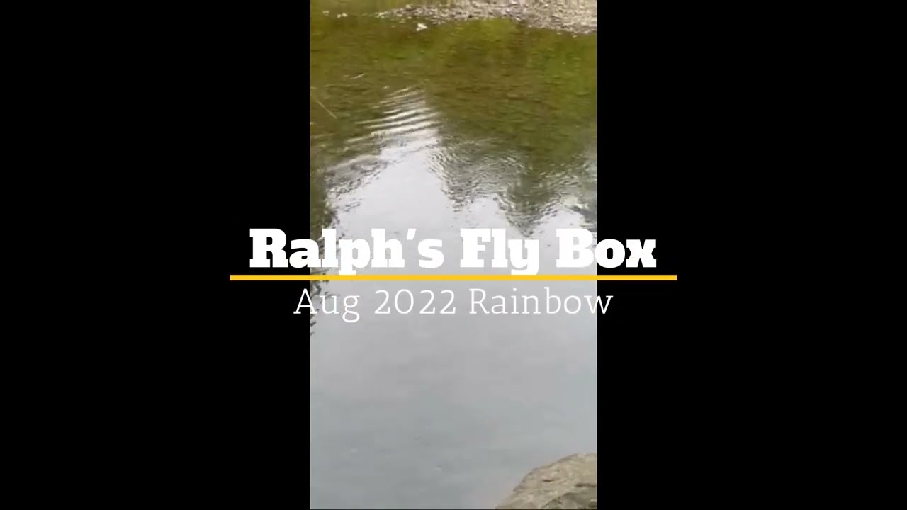 2022 Rainbow
