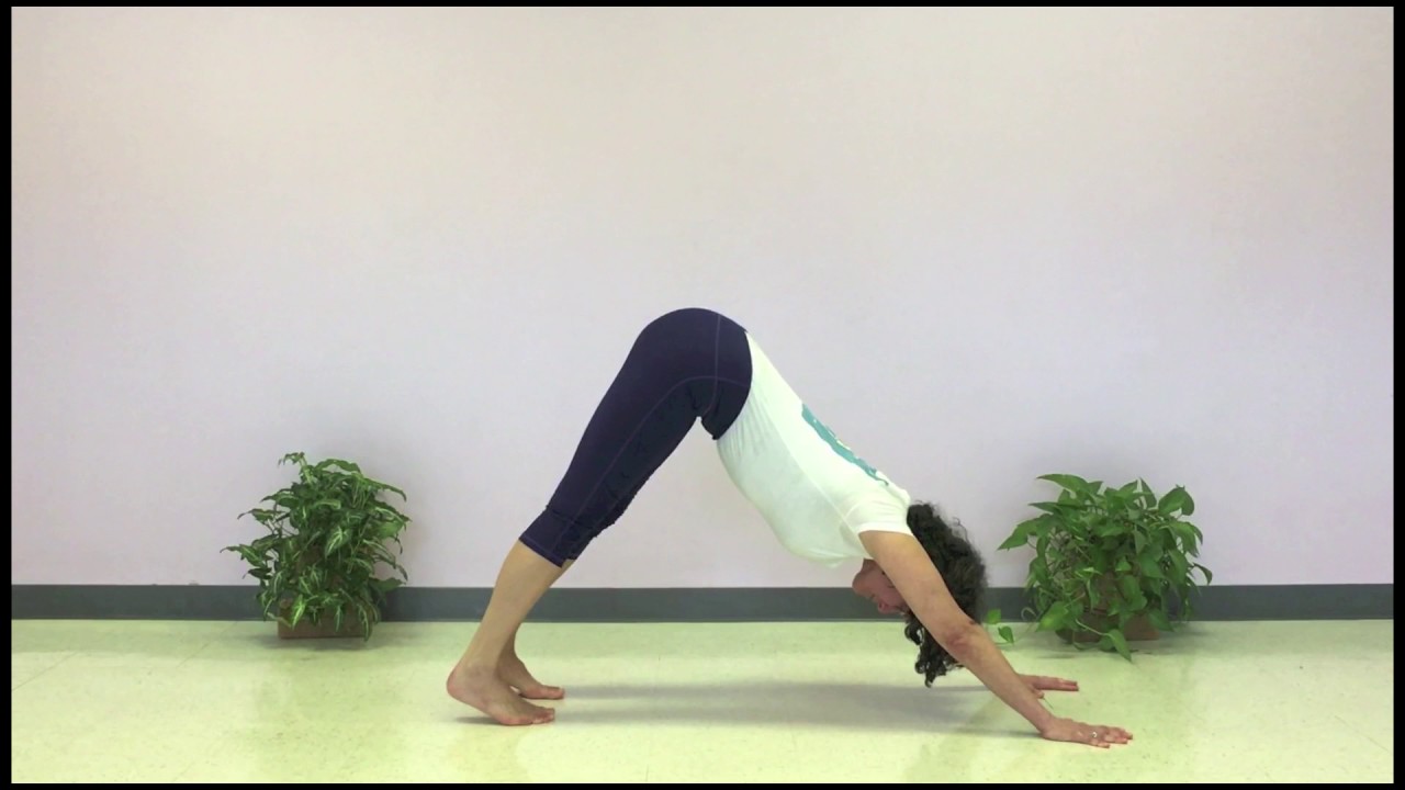 Adho Mukha Svanasana for Hyperextended Knees with CIYT Leanne Cusumano Roque