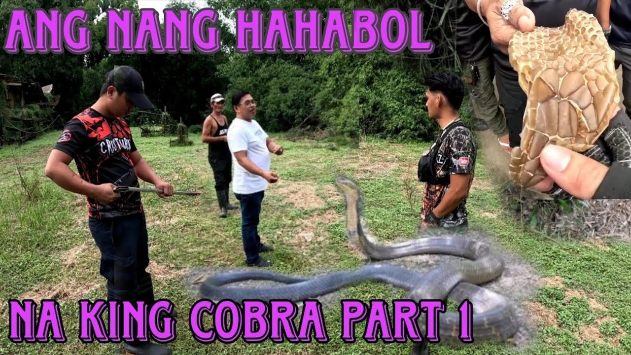 MAG SASAKA PAT*Y MATAPUS DAW MATUKLAW NG KING COBRA O BANAKON #cobraprince 