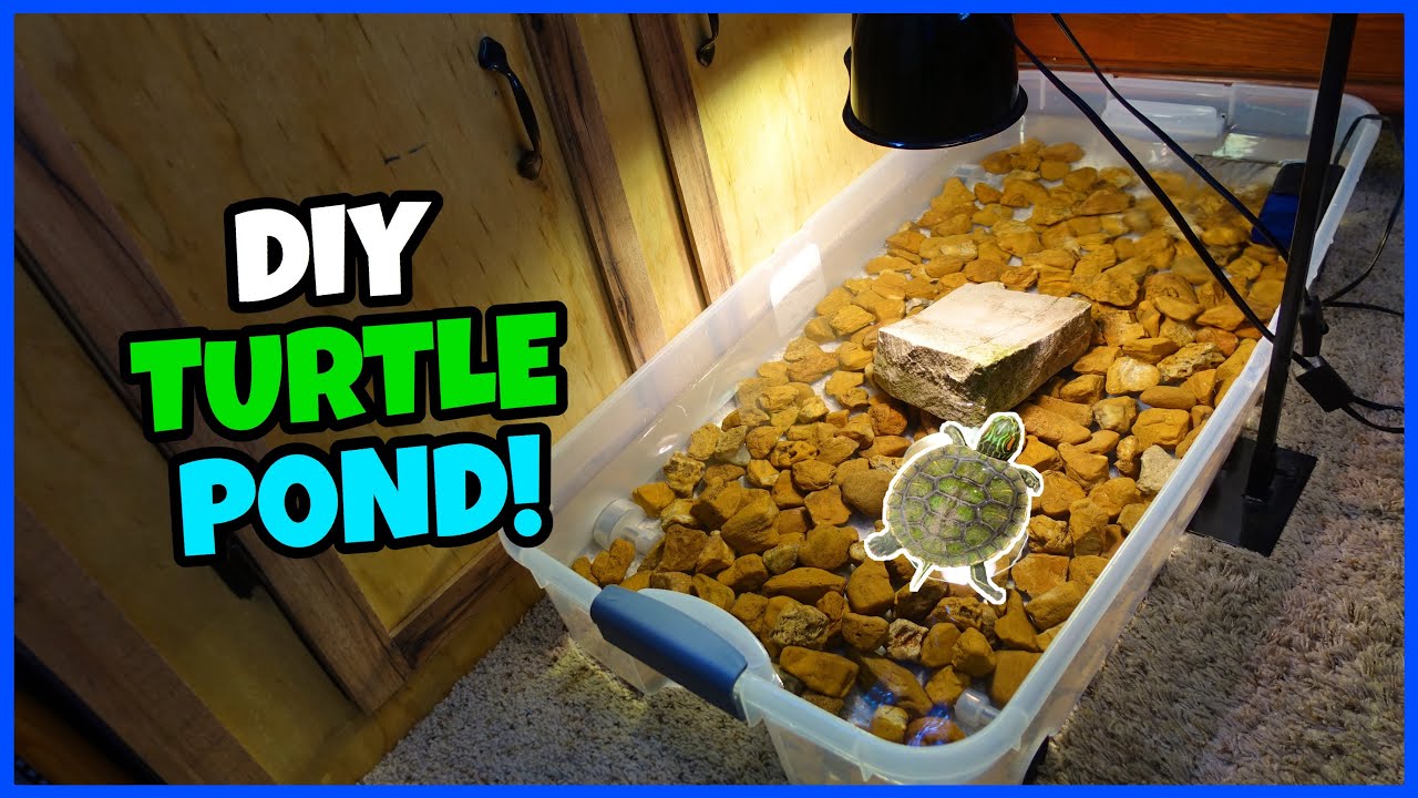 Cheap DIY Turtle Pond Setup!