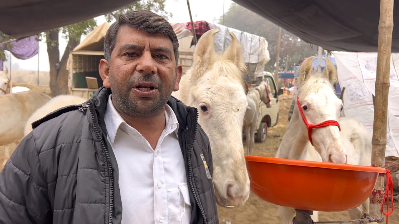 मुक्तसर का सबसे सस्ता व्यापारी जगदीश भाई Jagdish Bhai, the cheapest businessman of Muktsar