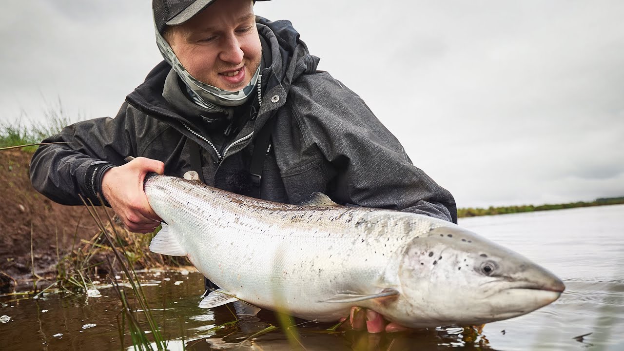 How To Catch A Salmon In Denmark - What Gear And Techniques?