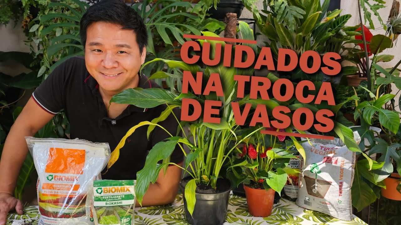 Dicas e Segredos para a Troca de Vasos das plantas - Gaspar Yamasaki e Biomix