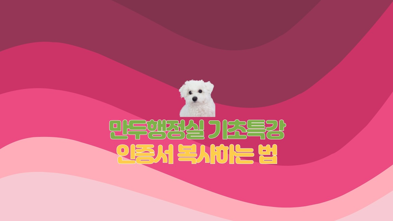 인증서 복사하는 방법