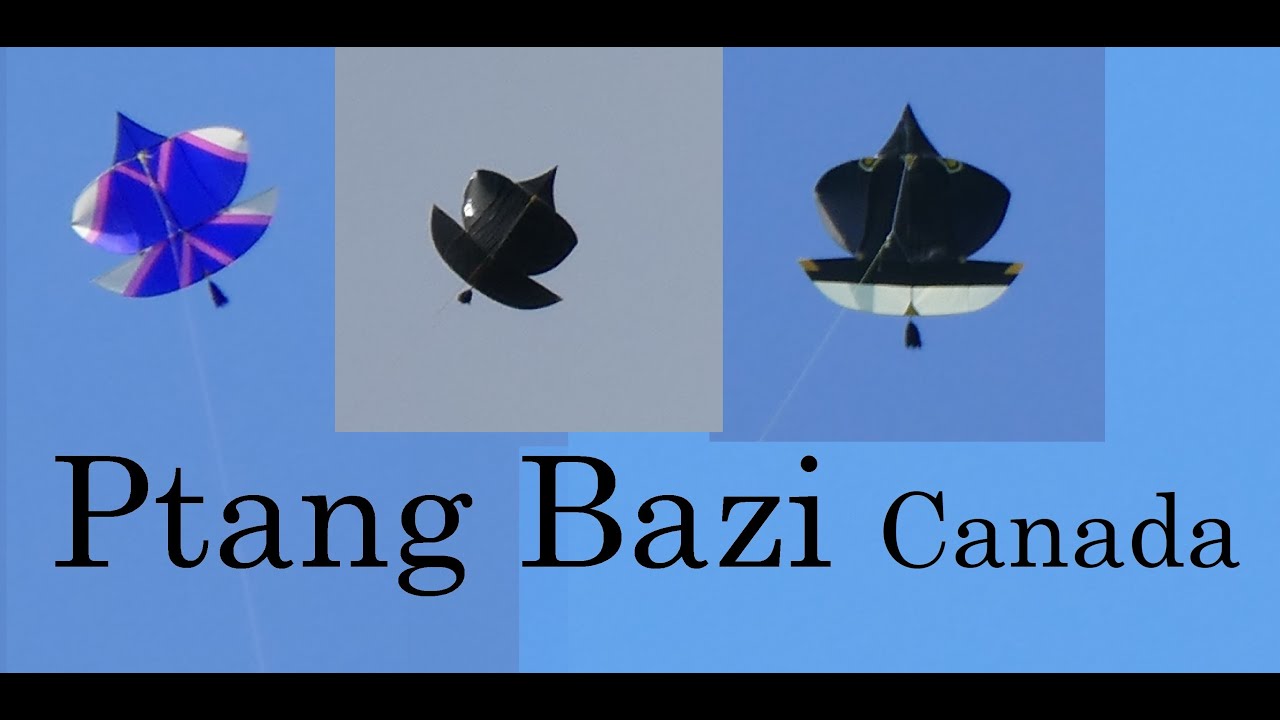 2x Paich Teera and Black Suite I Patang Bazi in Canada ( Kite Fighting ) Kite Flying Pipa Combate